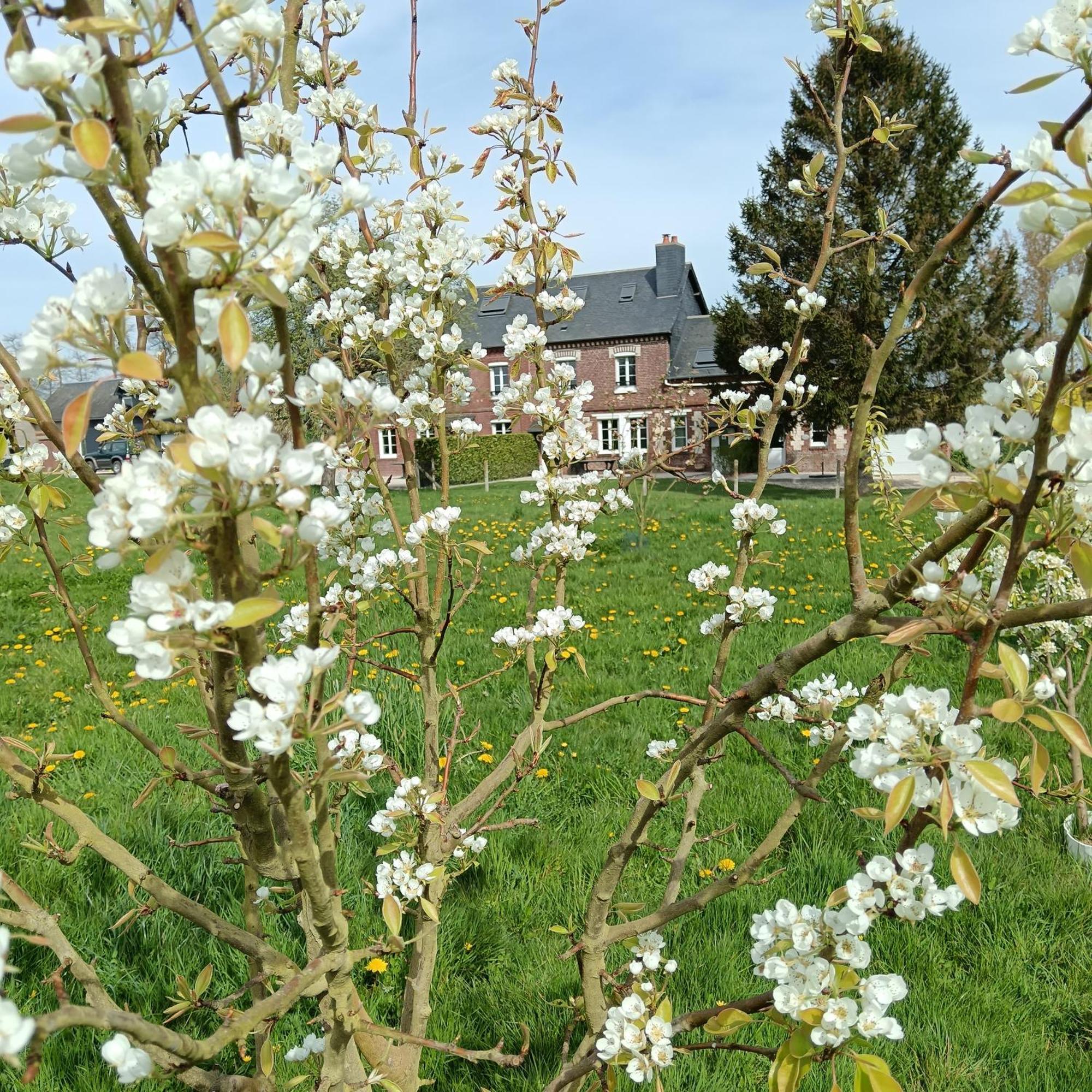 L'Ancienne Forge: Charming Bed & Breakfast with Three Unique Rooms Louvetot Exterior photo
